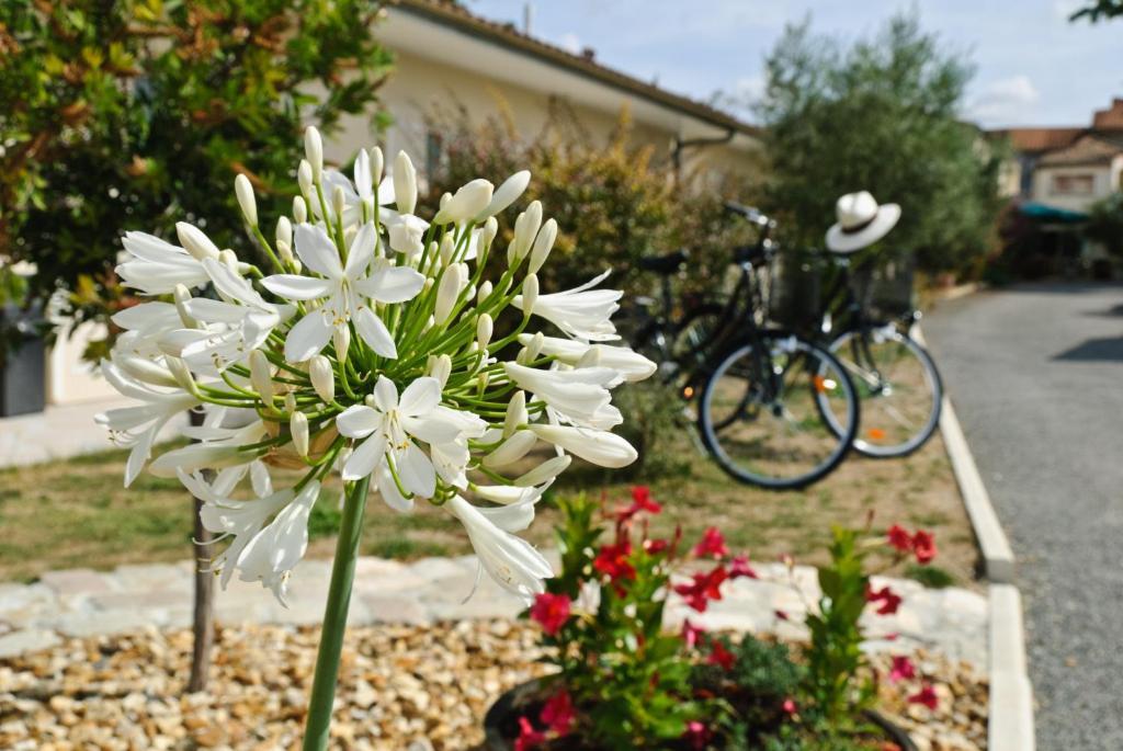 Logis Hotel L'Oliveraie Cognac Luaran gambar